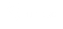 Blue Bird